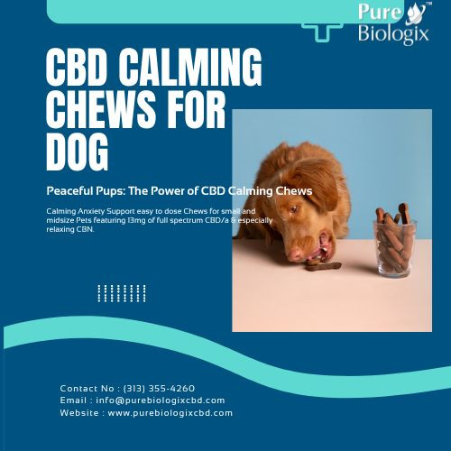 cbd calming chews for dog (1).jpg