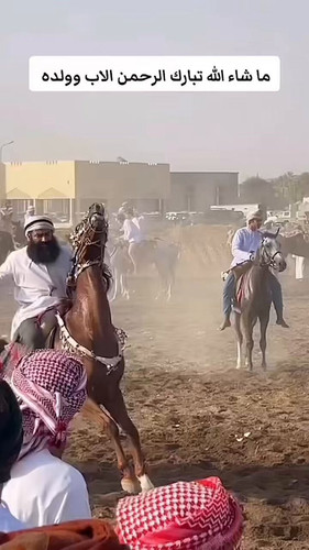 bDxMyyutT6J ega4.jpg