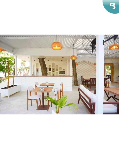 492242952 1140021968166187 5225171505647108206 n.jpg?stp=dst jpg s600x600 tt6& nc cat=106&ccb=1 7& n.jpg