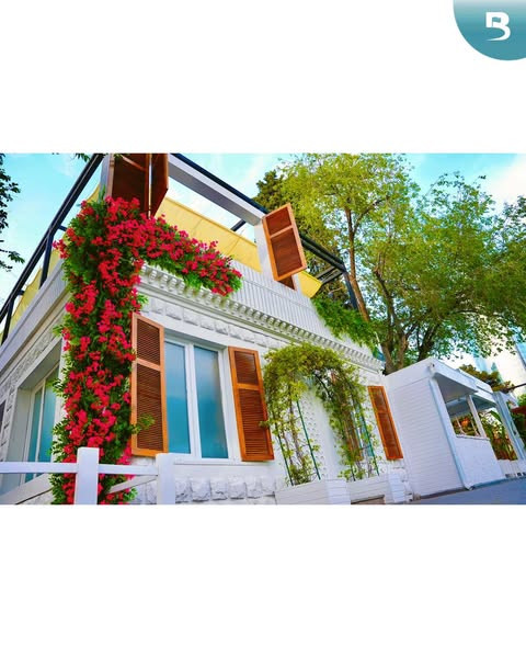 494553819 1140021984832852 5186615024901462260 n.jpg?stp=dst jpg s600x600 tt6& nc cat=101&ccb=1 7& n.jpg