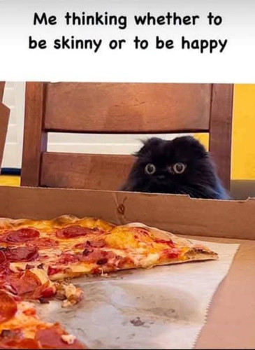 495439233 725357280150830 8305650751783479106 n.jpg