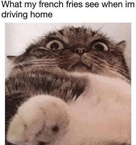 494216046 720576770628881 1309721853063964938 n.jpg