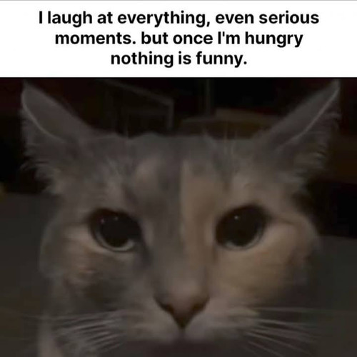 494097798 720576530628905 6329018426501000149 n.jpg