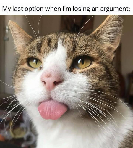 494416316 720575987295626 6871083727026745002 n.jpg