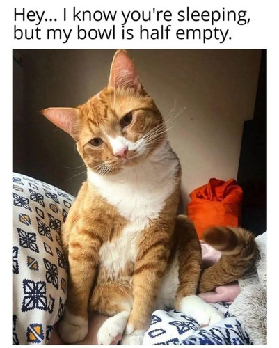 494988627 10237517324092428 4626709843259332314 n.jpg