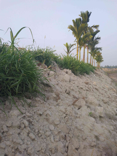 JPEG 20250509 155331 2481808381364125696.jpg