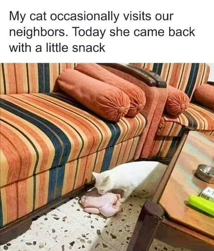 486611008 642176535102701 6134641647726479354 n.jpg