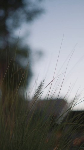 BZAvDf9 G9aTw3ay.jpg