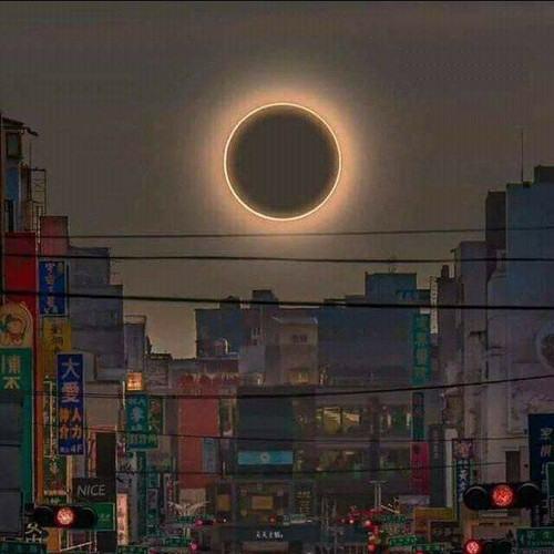 5424741641756980066 1.jpg