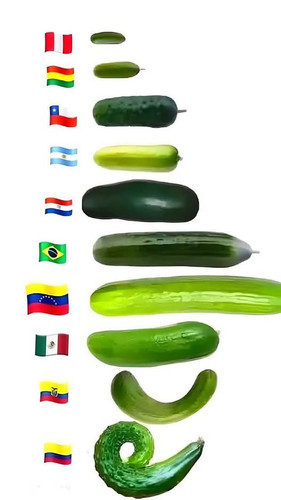 494407114 2399293117120461 6677004777194713000 n.jpg