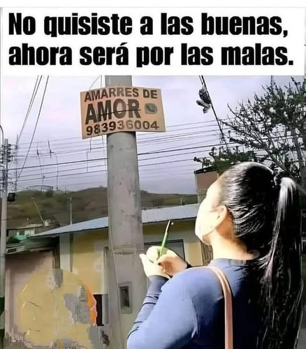 495160336 1217399736644073 9000980992475938503 n.jpg