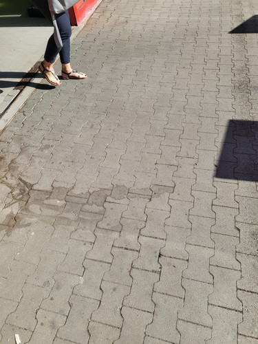 20250509 090349.jpg