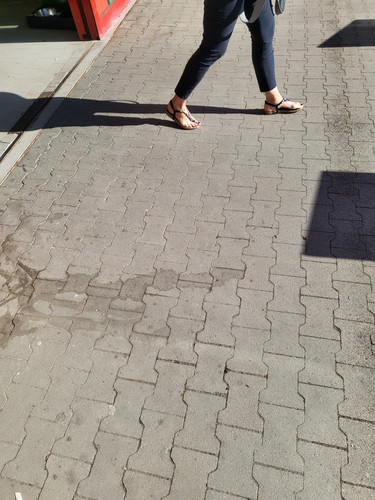 20250509 090350.jpg