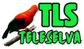 Teleselva.jpg