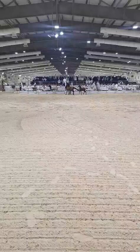 sVShxlzKC9 TjX6Q.jpg