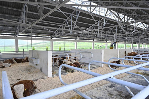 tgE7yIqz N9YlKwCk95f87LN R5H8u yfPeqnIV21XUo31TNAbHNyPrdPYOZI5gTiRq9gC6TAGAYx3QVgsqE1dVpUsgppraPL84q.jpg