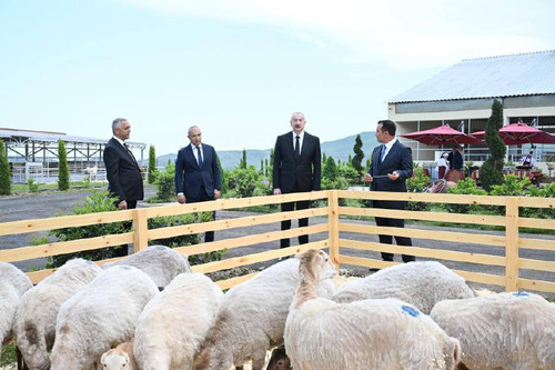 uzjfUTiZEGYTdy2aSqWcyGLYjgqaJx8kgqHfmpPN9XuLm8kM TO2QZ2w0ZfVdrOKitrbRfndIt0MDl3C0jMveFIr hesUG6BhW9e.jpg