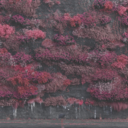 1d89632bed4b.png