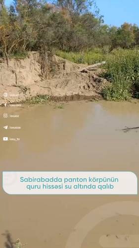 7XfRILg n6aopX4h.jpg