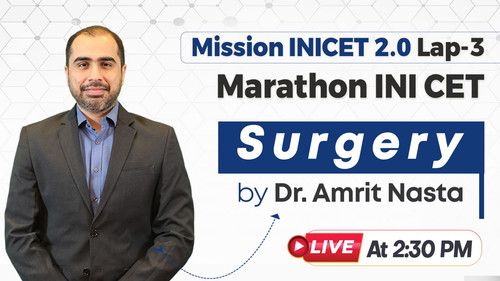 WhatsApp Image 2025 05 09 at 9.45.06 AM.jpg