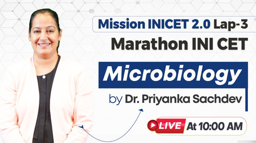 WhatsApp Image 2025 05 09 at 9.44.33 AM.jpg