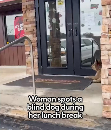 qJ9xcM RZCcHHnT6.jpg