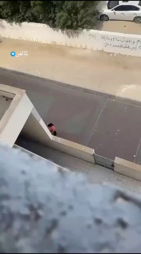 zdIIpywsrV7 OIih.jpg