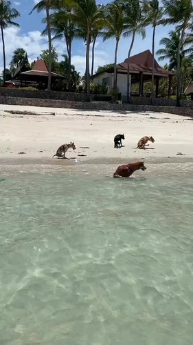 Px FidRIRS mDyXb.jpg