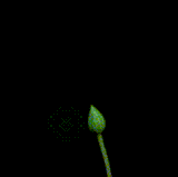 3e5GeXj.gif