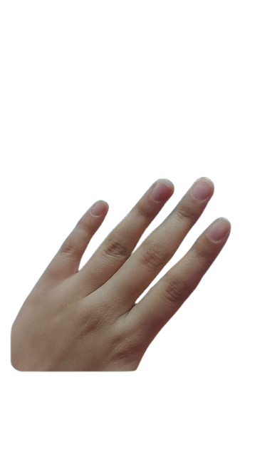 Har removebg preview.png