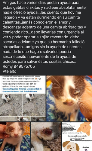 GqdwAqFXcAAo3vo.jpg