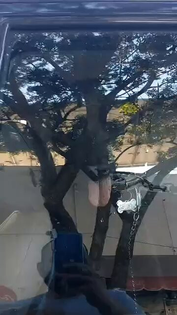 aunR2XqSjA3K0gVZ.jpg