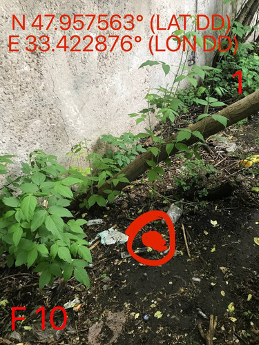 5258025846143316057.jpg