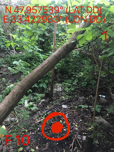 5258025846143316056.jpg