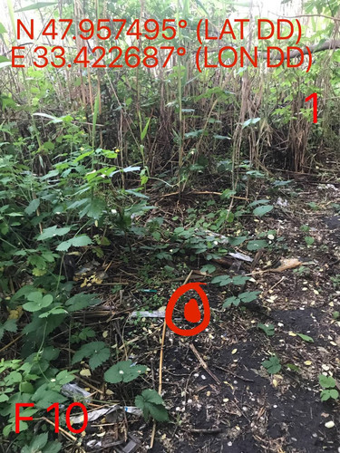 5258025846143316060.jpg