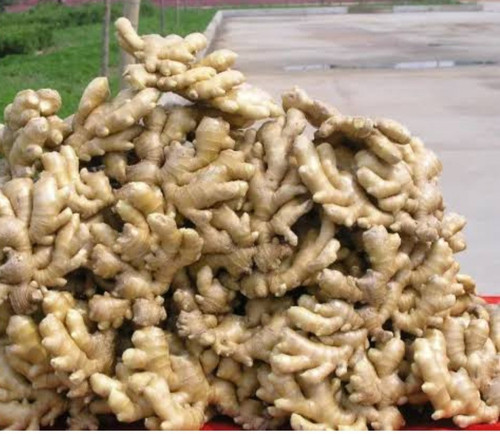 Screenshot 20250510 133659 Google.jpg