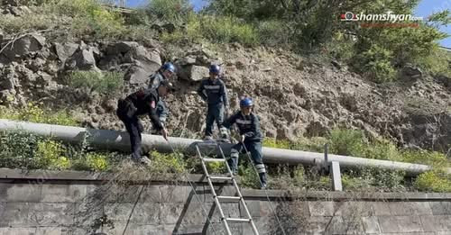 17117814057443707611?url=https%3A%2F%2Fst1.oragir.news%2Fmaterial main images%2F2025%2F05%2F10%2F454.jpg