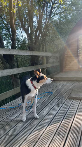 QkxOzVXtQXHoN yy.jpg