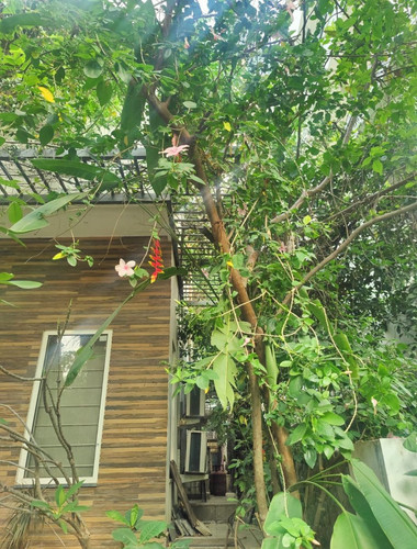 GqeuX46bcAAO3s0.jpg