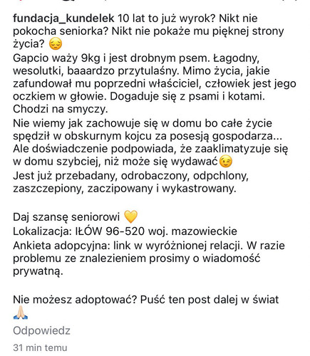 GqWZnQZWcAA zYX?format=jpg.jpg