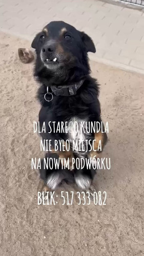 min2PEsZl5QeVcVm.jpg