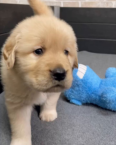 8yif3hP0qfmgs gb.jpg