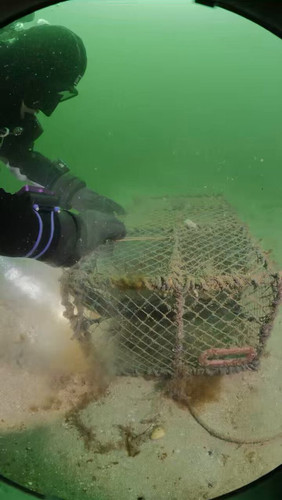 wMoHTl OuuCLSmiZ.jpg