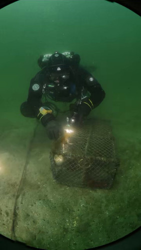 nhOq ip3NflPUho4.jpg