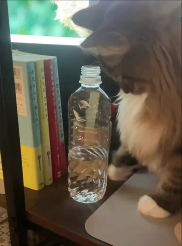 GvKaIxUal3ZyI9zx.jpg