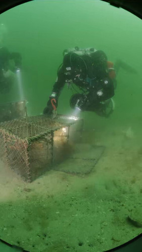 WulF DIRq8HXosZJ.jpg