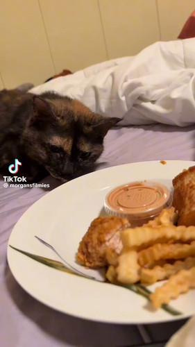 Yhw0xYC2n 7xy3RZ.jpg