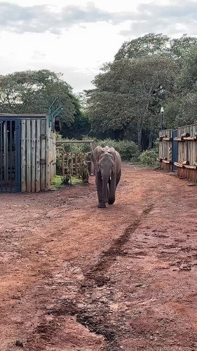 k3GXOMo CUDX5qJK.jpg