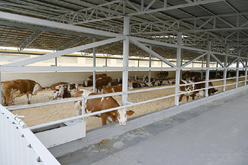 eglNya5r6i8eUaPV6IEhpwyIGGNeqCW12hheitKWbrJ8HgeRlgCrsjijkPO7RYR3byw93IQxz sbVgXWyKeTdqnVc9NCPhH86eLv.jpg