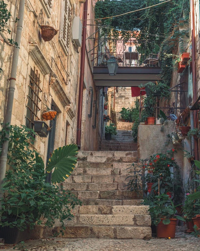 315426678 431792948963307 2709649008915771864 n.jpg